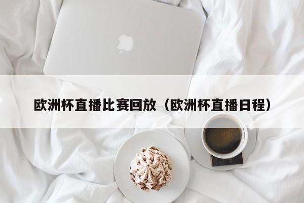 欧洲杯直播比赛回放（欧洲杯直播日程）